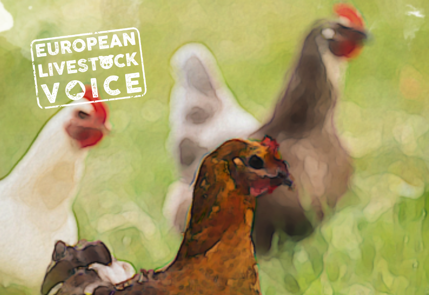 AVEC is a part of The European Livestock Voice