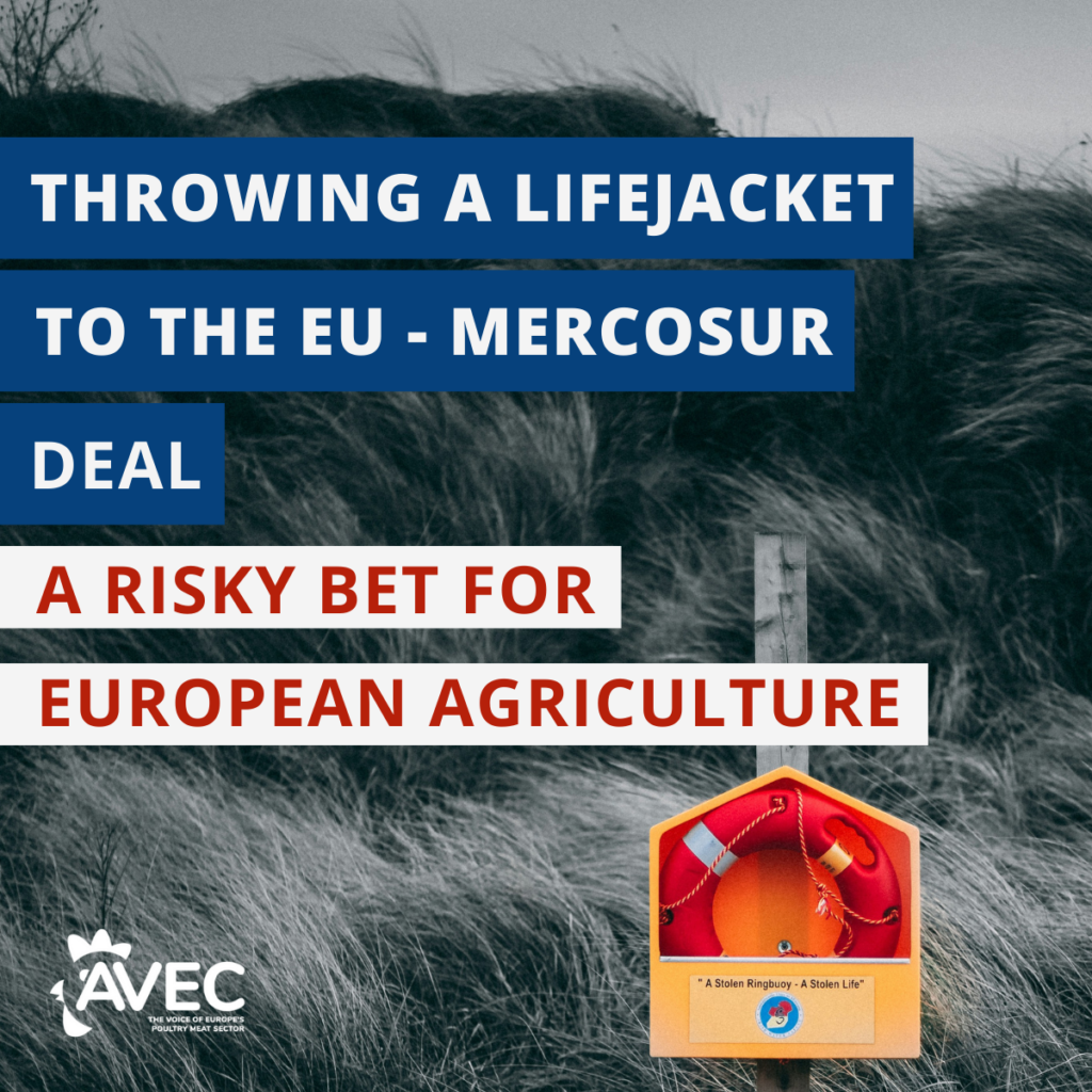 Throwing a Lifejacket to the EU-Mercosur Deal: A Risky Bet for European Agriculture