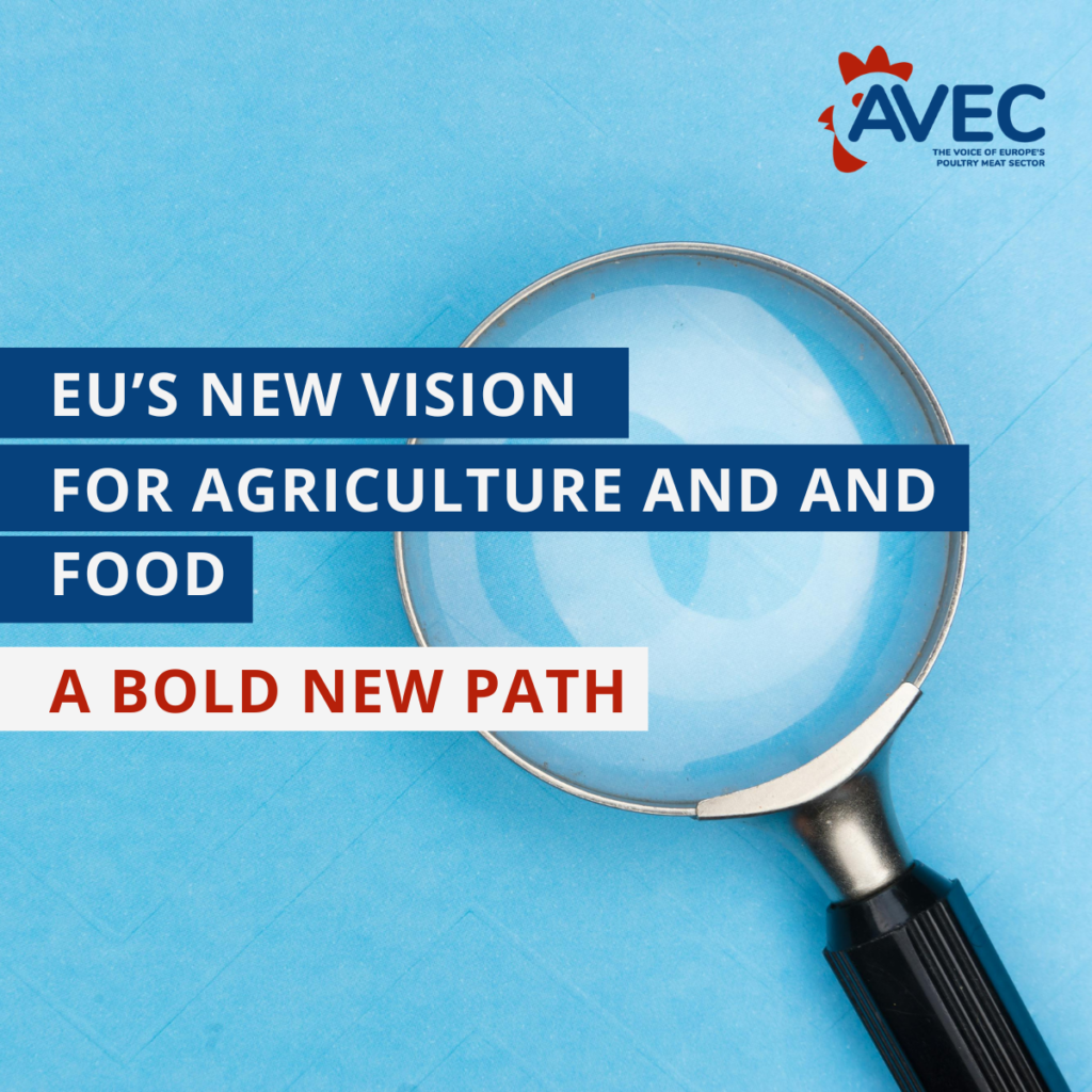 EU’s New Vision for Agriculture and Food: A Bold New Path