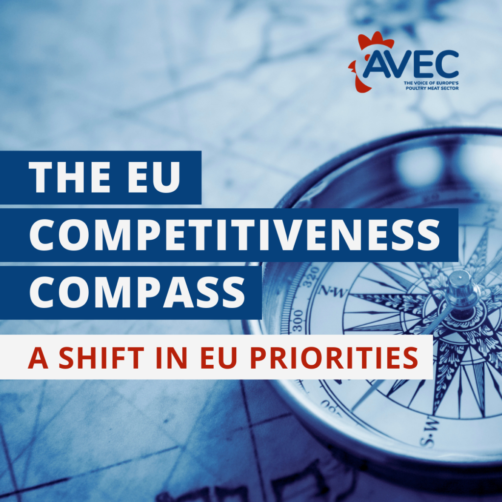 The EU Competitiveness Compass: A Shift in EU Priorities